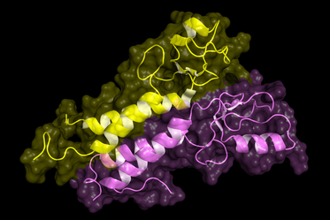 Bio NMR